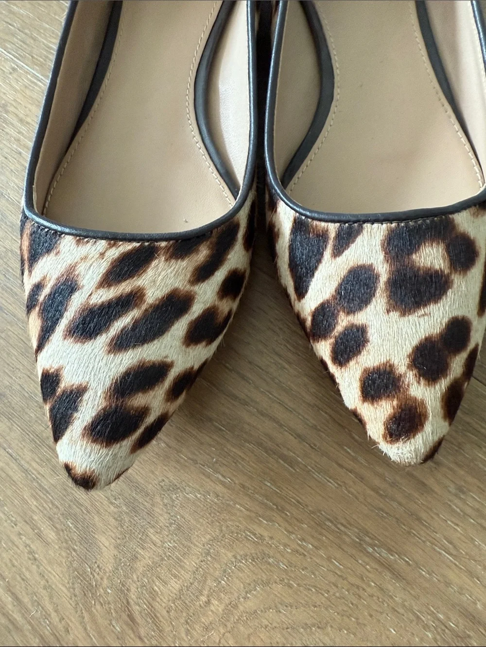 Tory Burch Leopard-Pattern Pointed Toe Flats - Brown & Black